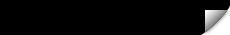 トイプードル ブラック