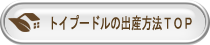 トイプードルの出産方法ＴＯＰ