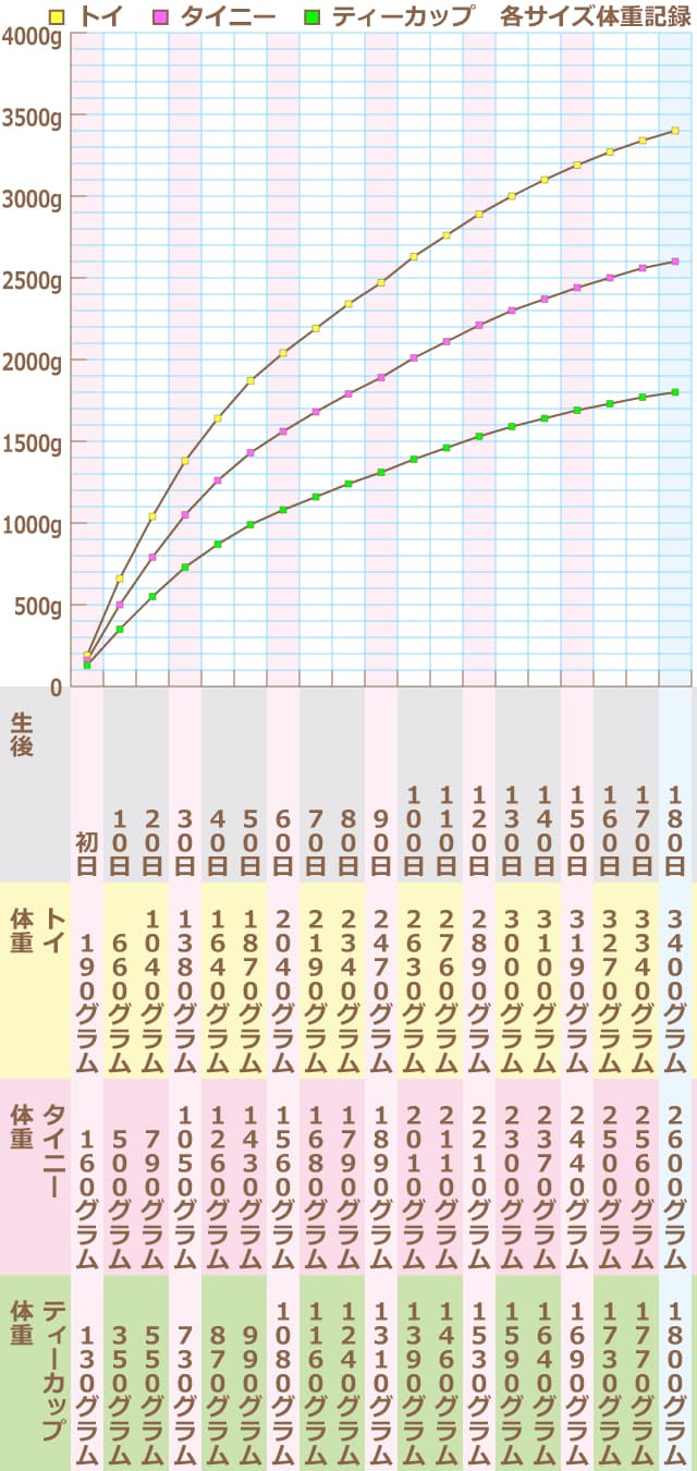 ■トイサイズ体重記録　●生後 初日　体重 190グラム　●生後 10日　体重 660グラム　●生後 20日　体重 1040グラム　●生後 30日　体重 1380グラム　●生後 40日　体重 1640グラム　●生後 50日　体重 1870グラム　●生後 60日　体重 2040グラム　●生後 70日　体重 2190グラム　●生後 80日　体重 2340グラム　●生後 90日　体重 2470グラム　●生後 100日　体重 2630グラム　●生後 110日　体重 2760グラム　●生後 120日　体重 2890グラム　●生後 130日　体重 3000グラム　●生後 140日　体重 3100グラム　●生後 150日　体重 3190グラム　●生後 160日　体重 3270グラム　●生後 170日　体重 3340グラム　●生後 180日　体重 3400グラム　　■タイニーサイズ体重記録　●生後 初日　体重 160グラム　●生後 10日　体重 500グラム　●生後 20日　体重 790グラム　●生後 30日　体重 1050グラム　●生後 40日　体重 1260グラム　●生後 50日　体重 1430グラム　●生後 60日　体重 1560グラム　●生後 70日　体重 1680グラム　●生後 80日　体重 1790グラム　●生後 90日　体重 1890グラム　●生後 100日　体重 2010グラム　●生後 110日　体重 2110グラム　●生後 120日　体重 2210グラム　●生後 130日　体重 2300グラム　●生後 140日　体重 2370グラム　●生後 150日　体重 2440グラム　●生後 160日　体重 2500グラム　●生後 170日　体重 2560グラム　●生後 180日　体重 2600グラム　　■ティーカップサイズ体重記録　●生後 初日　体重 130グラム　●生後 10日　体重 350グラム　●生後 20日　体重 550グラム　●生後 30日　体重 730グラム　●生後 40日　体重 870グラム　●生後 50日　体重 990グラム　●生後 60日　体重 1080グラム　●生後 70日　体重 1160グラム　●生後 80日　体重 1240グラム　●生後 90日　体重 1310グラム　●生後 100日　体重 1390グラム　●生後 110日　体重 1460グラム　●生後 120日　体重 1530グラム　●生後 130日　体重 1590グラム　●生後 140日　体重 1640グラム　●生後 150日　体重 1690グラム　●生後 160日　体重 1730グラム　●生後 170日　体重 1770グラム　●生後 180日　体重 1800グラム