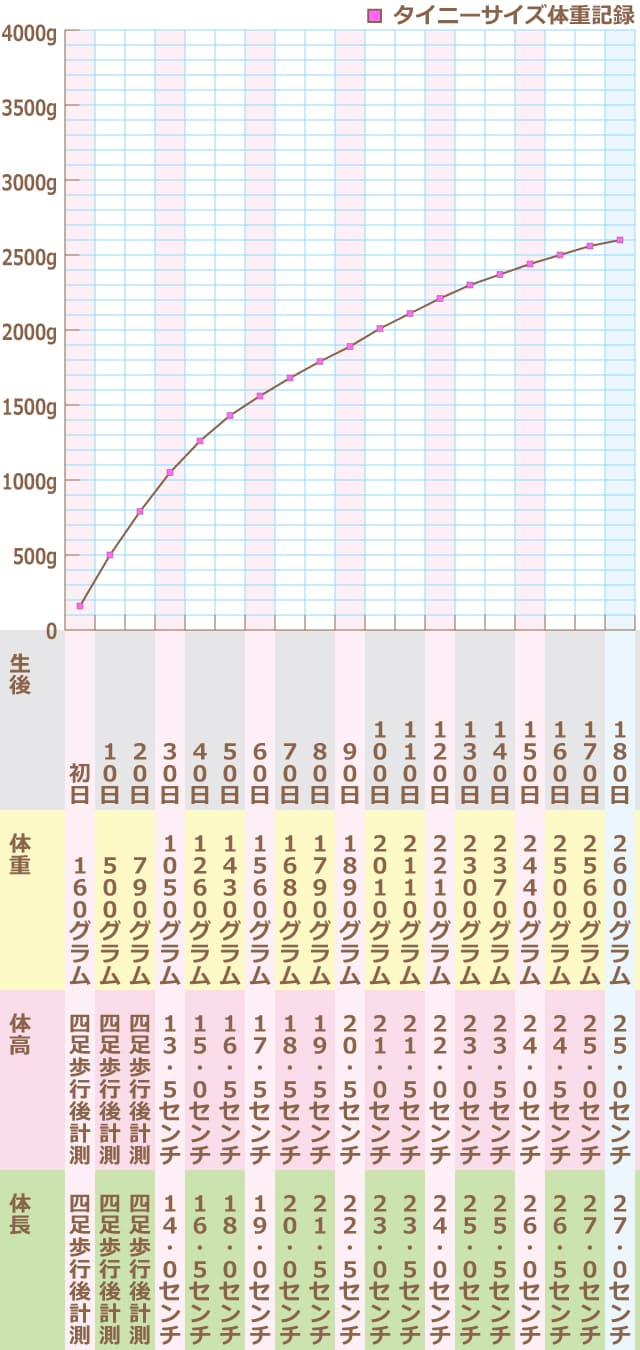 ■タイニーサイズ体重記録　●生後 初日　体重 160グラム　体高 四足歩行後計測　体長 四足歩行後計測　●生後 10日　体重 500グラム　体高 四足歩行後計測　体長 四足歩行後計測　●生後 20日　体重 790グラム　体高 四足歩行後計測　体長 四足歩行後計測　●生後 30日　体重 1050グラム　体高 13.5センチ　体長 14センチ　●生後 40日　体重 1260グラム　体高 15センチ　体長 16.5センチ　●生後 50日　体重 1430グラム　体高 16.5センチ　体長 18センチ　●生後 60日　体重 1560グラム　体高 17.5センチ　体長 19センチ　●生後 70日　体重 1680グラム　体高 18.5センチ　体長 20センチ　●生後 80日　体重 1790グラム　体高 19.5センチ　体長 21.5センチ　●生後 90日　体重 1890グラム　体高 20.5センチ　体長 22.5センチ　●生後 100日　体重 2010グラム　体高 21センチ　体長 23センチ　●生後 110日　体重 2110グラム　体高 21.5センチ　体長 23.5センチ　●生後 120日　体重 2210グラム　体高 22センチ　体長 24センチ　●生後 130日　体重 2300グラム　体高 23センチ　体長 25センチ　●生後 140日　体重 2370グラム　体高 23.5センチ　体長 25.5センチ　●生後 150日　体重 2440グラム　体高 24センチ　体長 26センチ　●生後 160日　体重 2500グラム　体高 24.5センチ　体長 26.5センチ　●生後 170日　体重 2560グラム　体高 25センチ　体長 27センチ　●生後 180日　体重 2600グラム　体高 25センチ　体長 27センチ