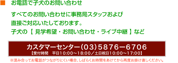 ■　お電話で子犬のお問い合わせ　すべてのお問い合わせに事務局スタッフおよび　直接ご対応いたしております。子犬の 【 見学希望 ・ お問い合わせ ・ ライブ中継 】 など　カスタマーセンター【受付時間　平日１０:００〜１８:００／土日祝日１０:００〜１７:００】※混み合ってお電話がつながりにくい場合、しばらくお時間をあけてから再度お掛け直しください。