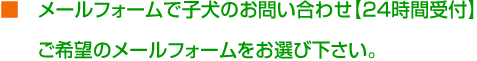 ■　メールフォームで子犬のお問い合わせ【24時間受付】　ご希望のメールフォームをお選び下さい。